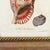 Framed Seashell Engraving Prints - Conchology Engravings After Georg Wolfgang Knorr, Set of 4 For Sale - Image 12 of 15