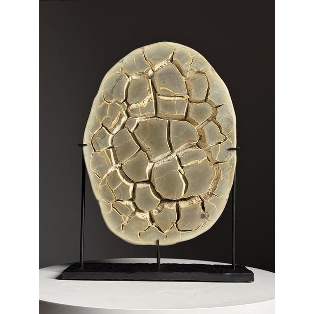 Septaria on Custom Stand For Sale - Image 9 of 18