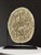 Septaria on Custom Stand For Sale - Image 9 of 18