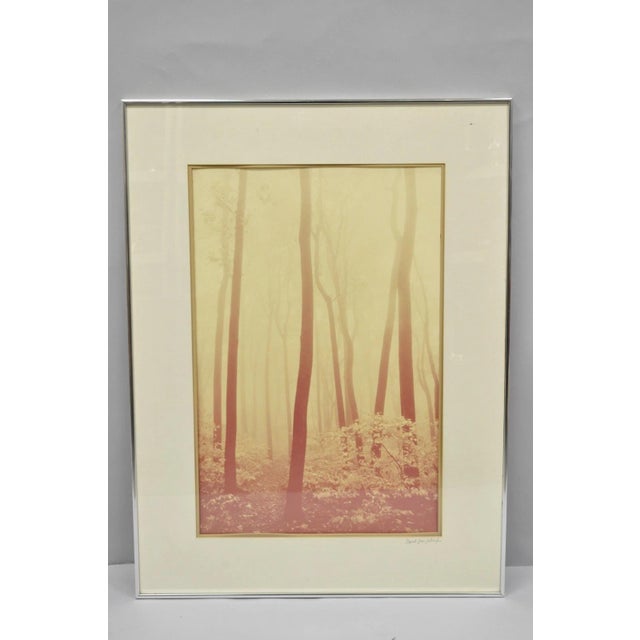 Vintage David Lorenz Winston "Seven Trees" Landscape Signed Framed Art Print For Sale - Image 14 of 14