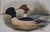 Traditional Hand-Colored C1862 Lithograph Pl. 315 Goosander From John Gould's "The Birds of Great Britain" For Sale - Image 3 of 6