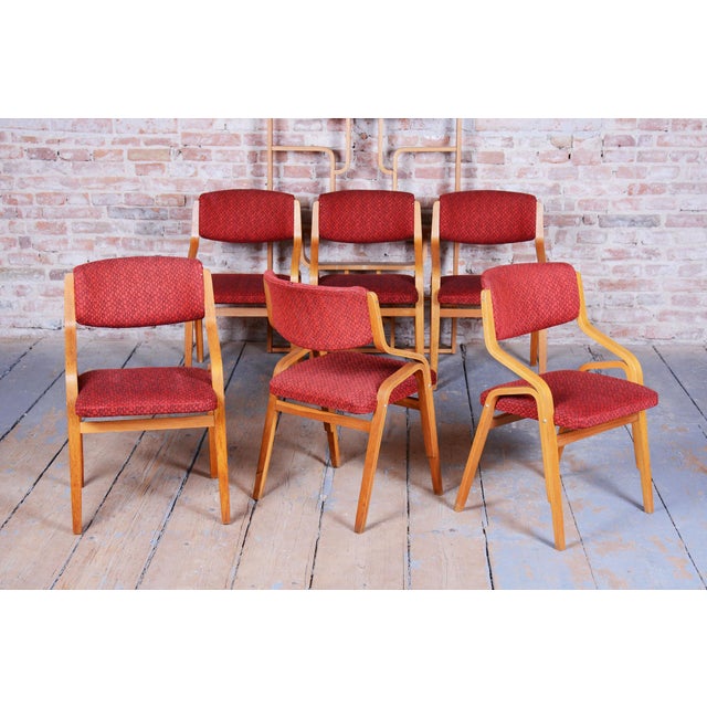 Mid-Century Czech Chairs in Maple attributed to Ludvik Volak for Drevopodnik Holesov, 1960s, Set of 6 For Sale - Image 16 of 18