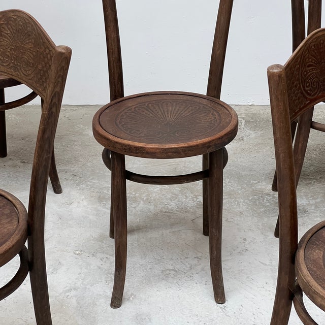 Antique Bentwood Bistro Chairs from Mundus, 1890s, Set of 6 For Sale - Image 6 of 11
