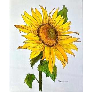 Watercolor Painting Giclee Golden Sunflower Print For Sale