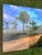 Old Florida; Highlands Hammock Park, Sebring Florida Photo Print, Pines and Palmetto. Four by Three Feet in Plastic For Sale - Image 11 of 18