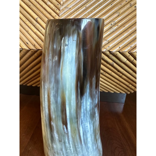 Vintage Italian Natural Horn Vase -Extra Large For Sale - Image 9 of 12