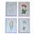 Henry Evans Botanical Linocut Prints Framed- Set of 4 For Sale