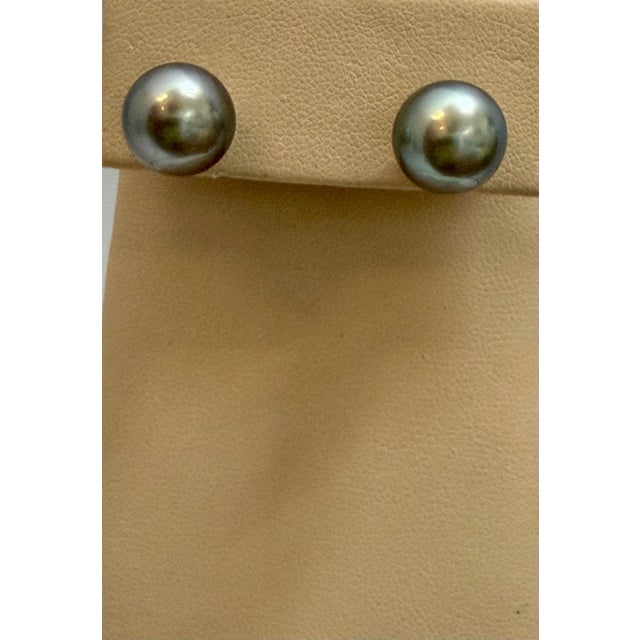 Black 11 MM Tahitian Black Pearl Stud Earrings 14 Karat White Gold For Sale - Image 8 of 8