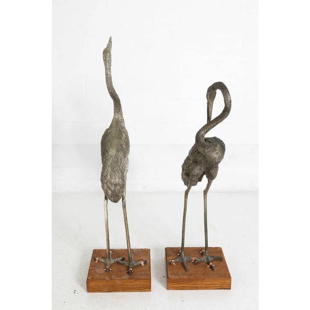 Contemporary Monumental Pair of Silvered Crane Sculptures on Wooden Plinth Bases | 20th Century For Sale - Image 3 of 13