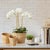 Boho Chic Cane Rattan Mini Round Tapered Baskets, Set Of 3 For Sale - Image 3 of 4