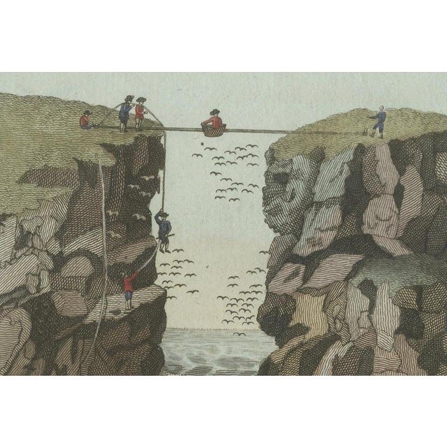 Early 19th Century Bertuch, Iceland Geyser, Hekla and Orkney Bird Catchers, 1802, Engraving For Sale - Image 5 of 11