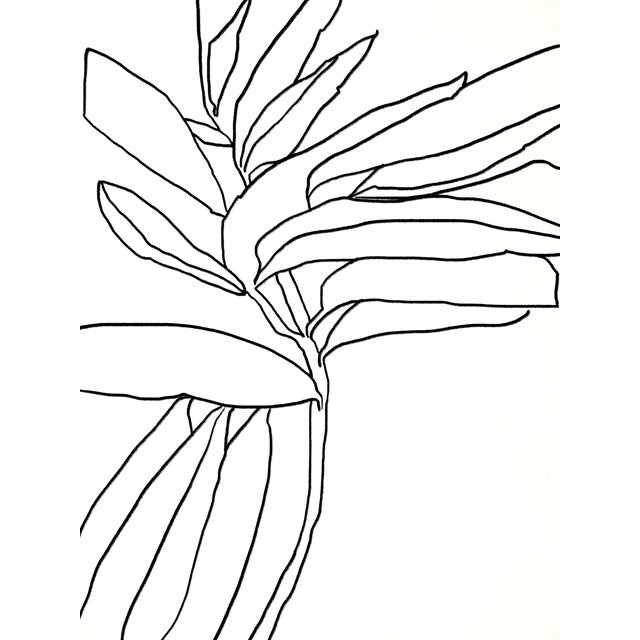Open edition giclee print. 20"x28" Elegant botanical illustration drawing. Black line tree leaves on white textured...