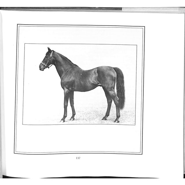 "Newmarket" 1984 Stanley, Louis T. For Sale - Image 12 of 13