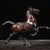 This cast bronze sculpture captures the celebrated galloping horse motif of the Eastern Han dynasty, popularly known as...