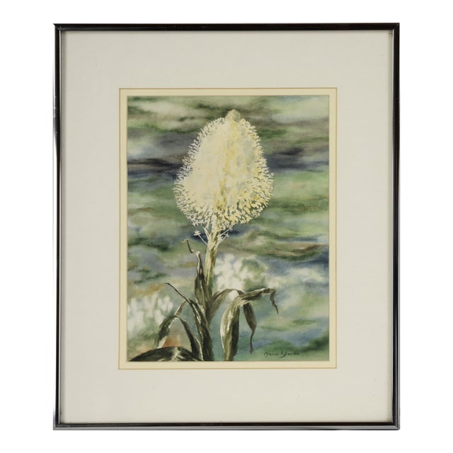 Beargrass - Original Watercolor on Paper by Marie Yunker For Sale