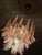 Glass Pink Murano Glass Chandelier in the style of Mazzega For Sale - Image 7 of 10