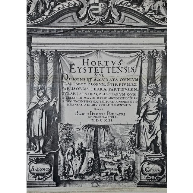 Autumn Snowflake and Meadow Saffron Flowers: A 17th C. Botanical Engraving by Basilius Besler Besler, 1613 For Sale In San Francisco - Image 6 of 6