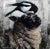 This oil on panel artwork features a striking juxtaposition of a sheep and a magpie, with the bird perched playfully atop...