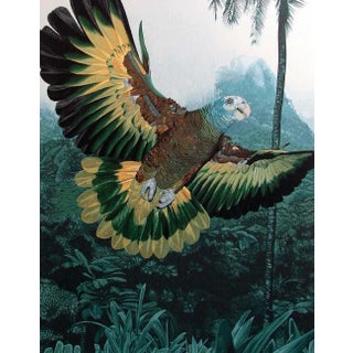 Dallas John "St. Vincent Amazon" Signed Numbered Serigraph of a Tropical Bird 1978 Unframed For Sale
