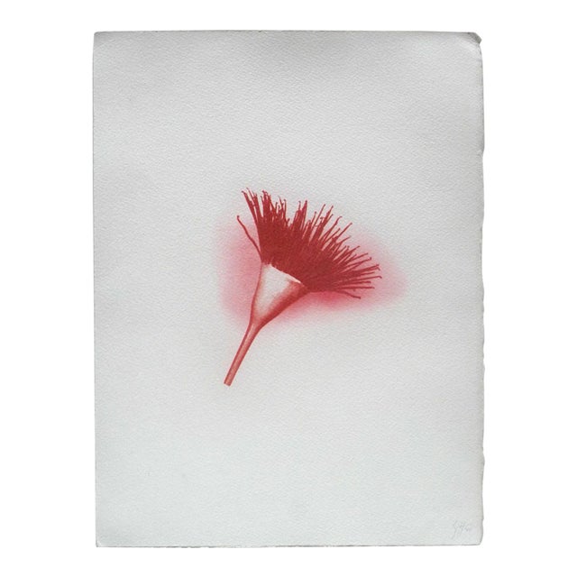 "Botanica VIII" is a gum-dichromate print. This photography process goes back to the 1850. In brief, hand made paper is...