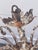 Antque Tole Metal Distressed Rusted French Chandelier For Sale - Image 4 of 7