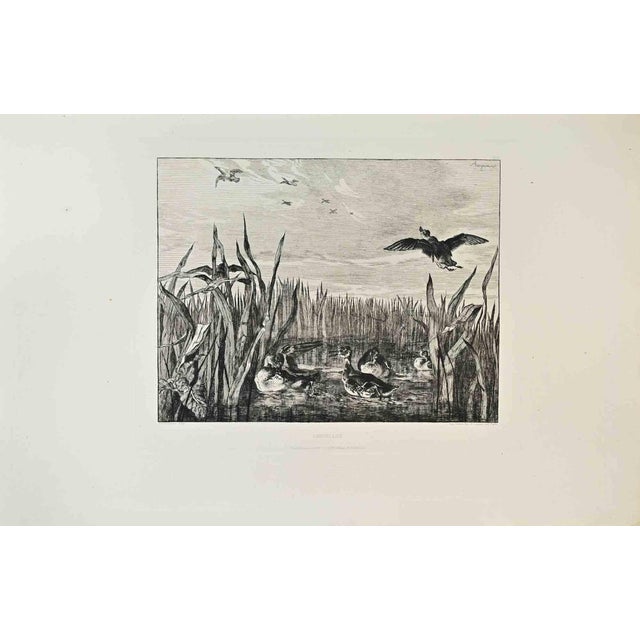 Sarcelles is a black and white etching realized by Félix Bracquemond (1833–1914) in 1870s. Titled in the lower. Image...