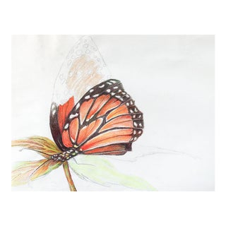 Vintage Unfinished Color Drawing of Butterfly For Sale