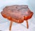 1960 Live Edge Cypress Side Table For Sale - Image 12 of 12