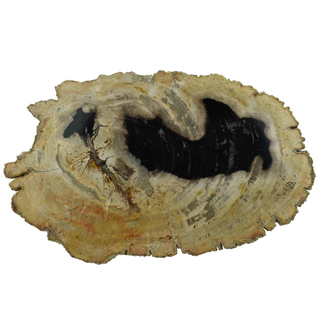 Elevate your entertaining with this Solid Stone Serving Cheese and Charcuterie Board, a stunning fusion of rugged nature...