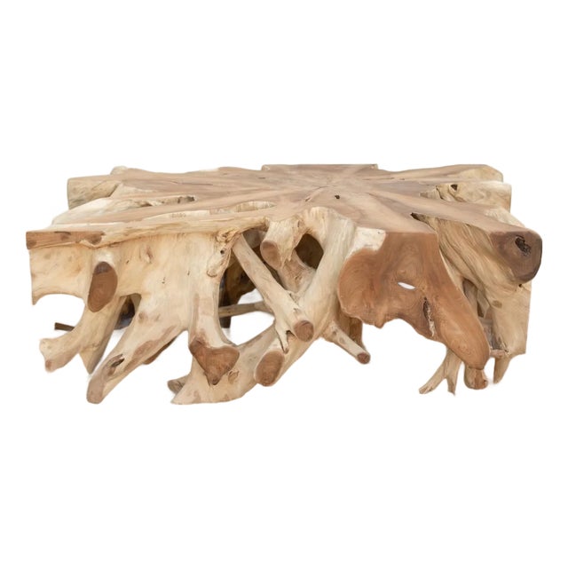 Sculptural Live Form Teak Root Coffee Table For Sale
