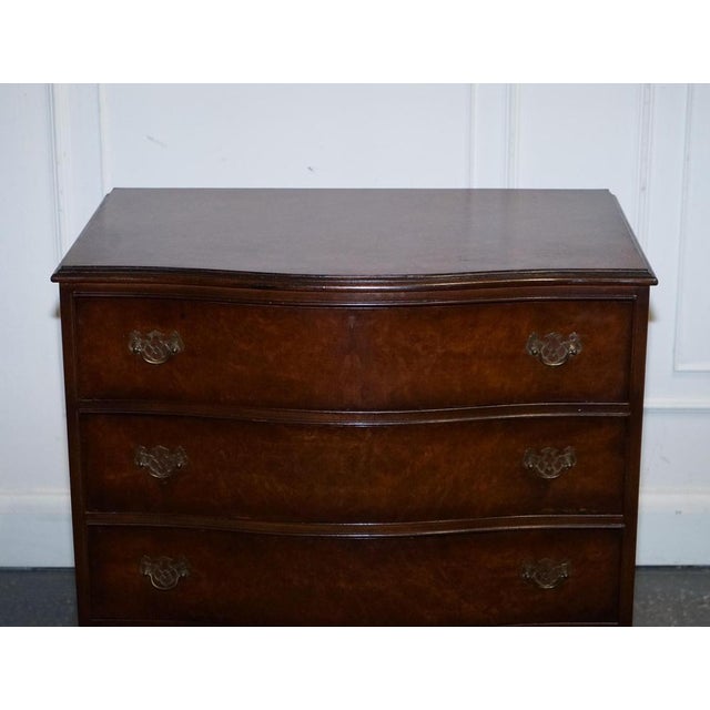 Late 20th Century Burr Walnut Chest of Drawers with Brass Handles For Sale - Image 5 of 16