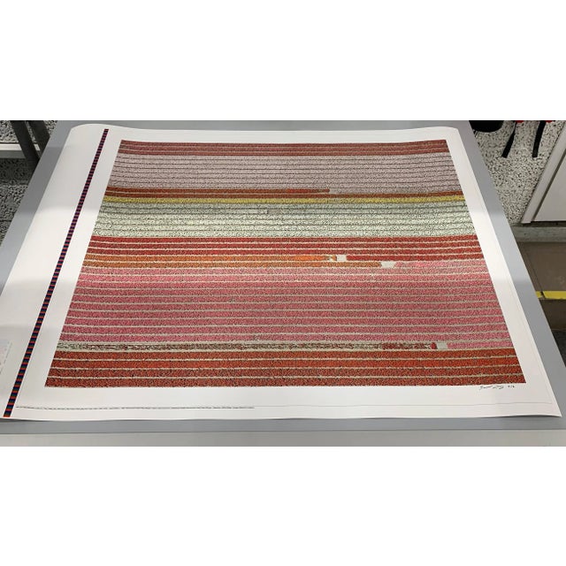 "AV_Tulip_Fileds_005" Contemporary Limited Edition Photography Fine Art Print by Bernhard Lang For Sale - Image 6 of 10