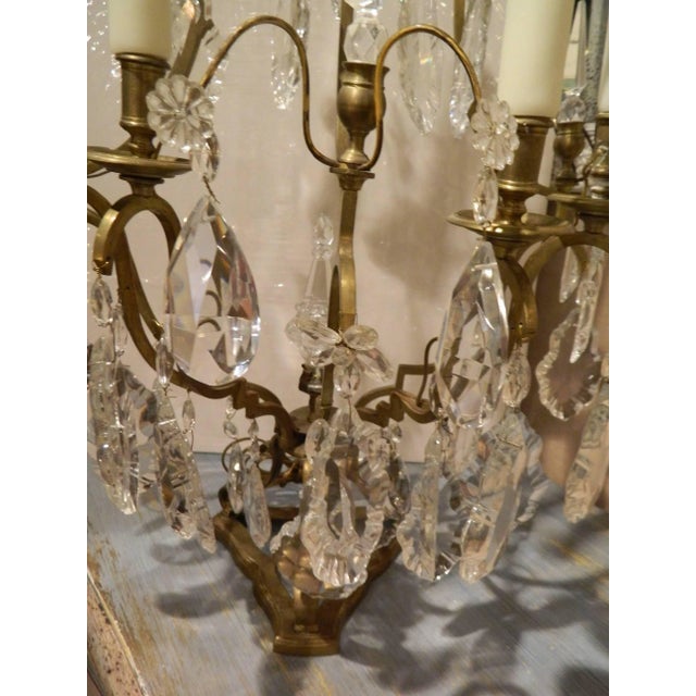 Seven-Light Bronze and Cut Crystal Candelabra Girandoles, 19th Century - a Pair For Sale - Image 4 of 11
