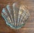 Mid-Century Modern Coastal Seashell Bowl With Shell Serving Tray For Sale - Image 3 of 12