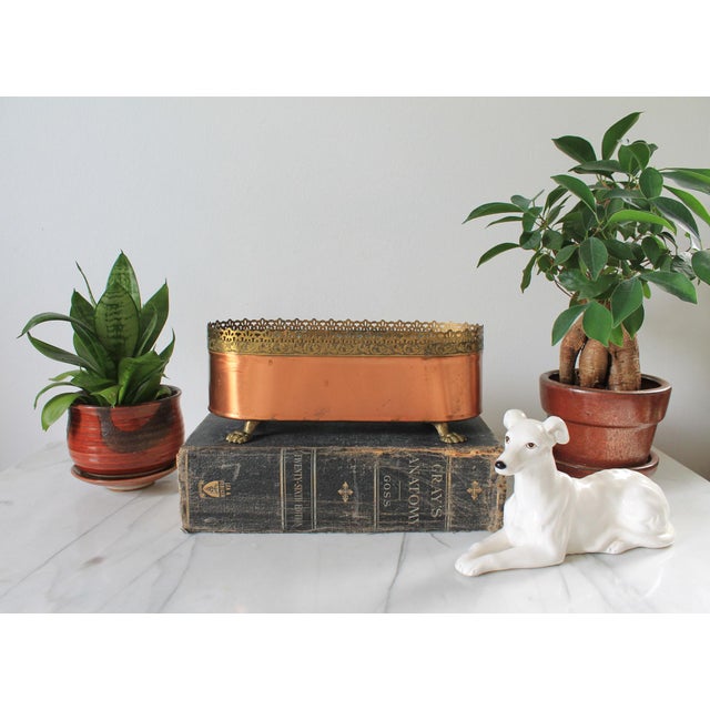 Vintage oval copper planter or jardiniere with decorative brass claw feet and an ornate brass rim. Features a smooth...