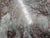 Mid 20th Century Exotic Marble Oval Italian Dining Table With Pedestal Base For Sale - Image 9 of 12