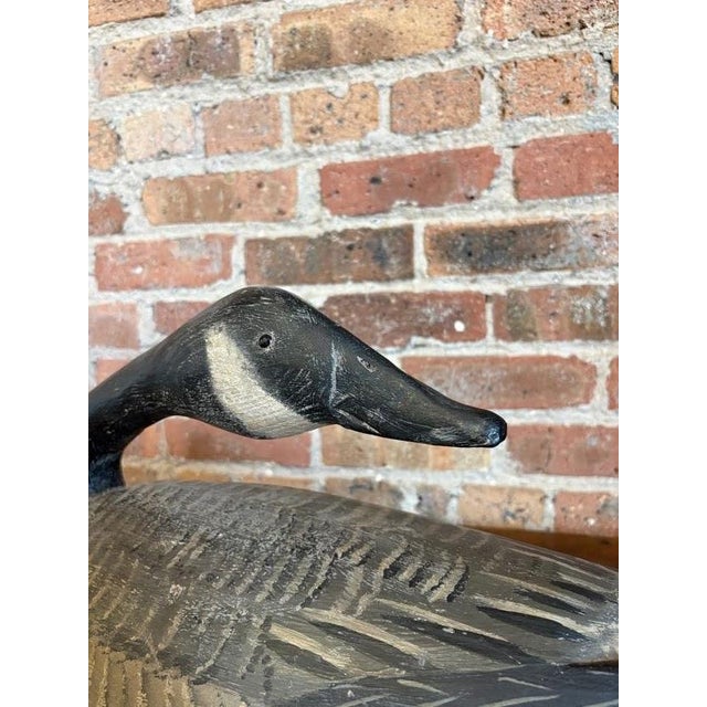 Master-Carved Antique Folk Art Preening Canada Goose Decoy For Sale - Image 15 of 18