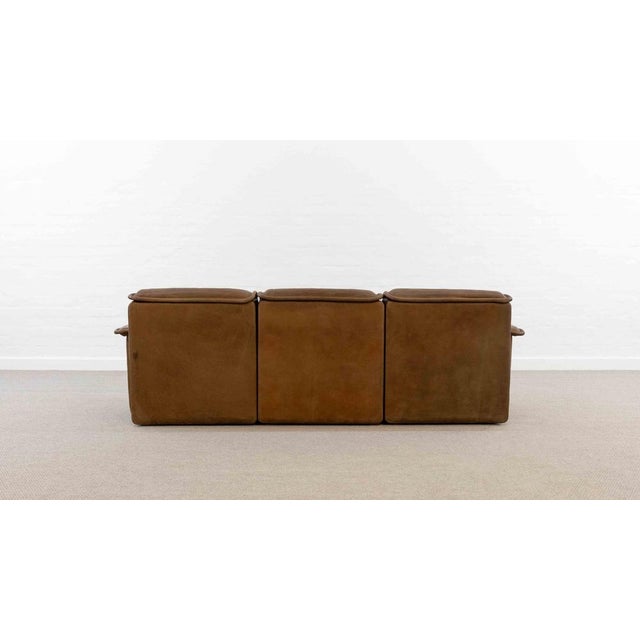 Animal Skin DS-12 Sofa in Brown Buffalo Leather from de Sede, Set of 3 For Sale - Image 7 of 18