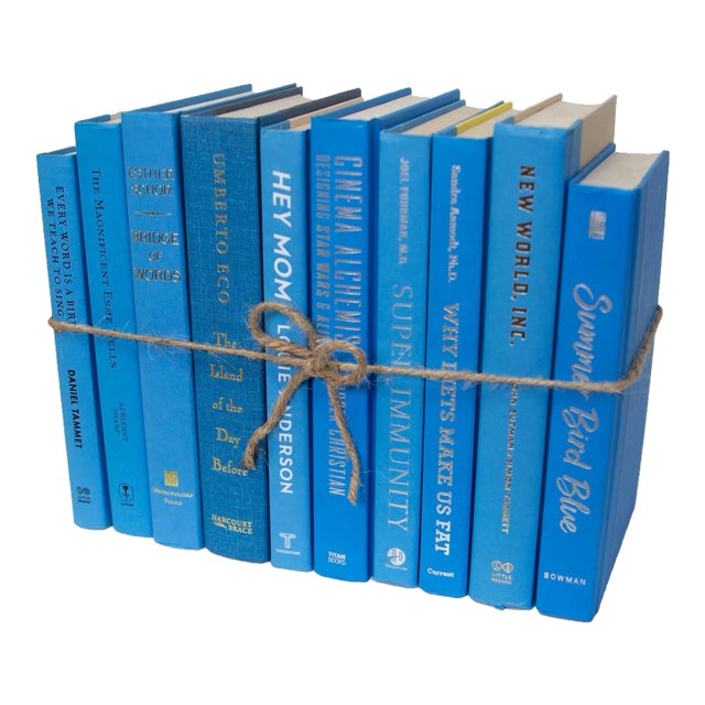 Decorative Books - Sky Book Bundle - 1 Foot of Blue Books For Sale