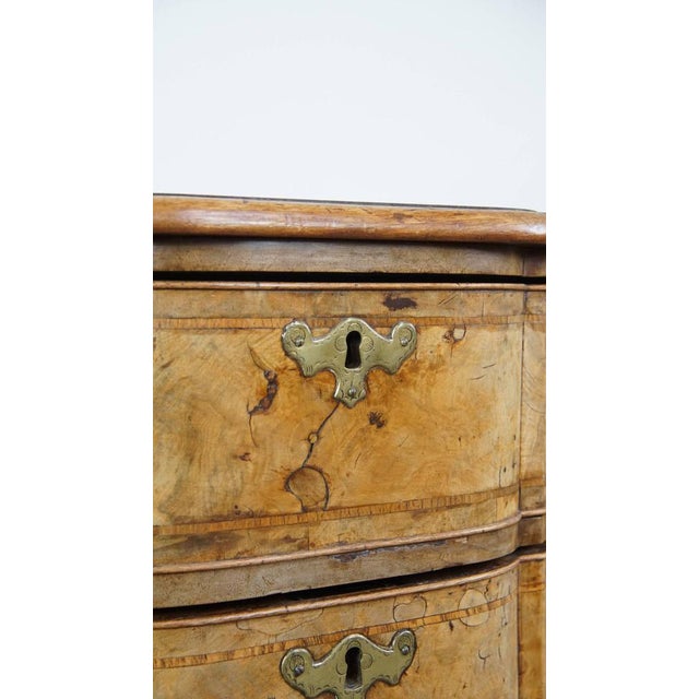 18th Century Baroque Organ-Curved Burr Walnut Wooden Chest of Drawers For Sale - Image 10 of 15