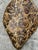 Vintage Italian Scagliola Pigmented Plaster Turtle Shell For Sale - Image 9 of 12