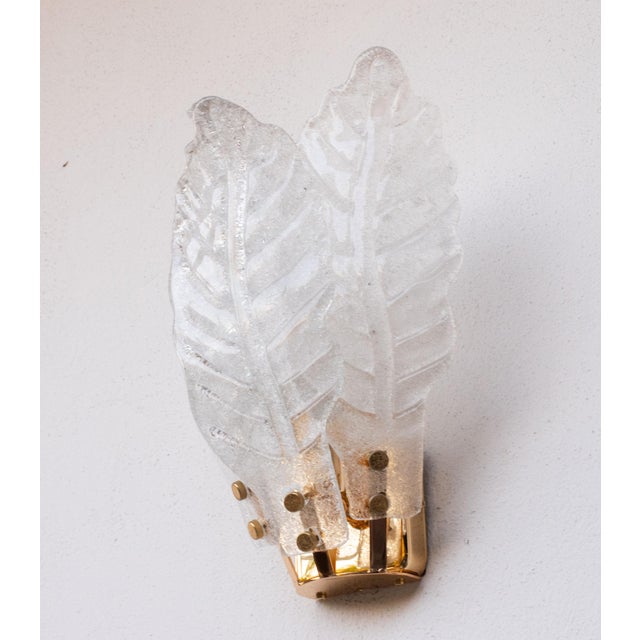 Glass Set of 4 Florence Murano Wall Light Transparent Leaves, 1970 For Sale - Image 7 of 13