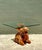 Vintage Carved Wood Camel Glass Table For Sale - Image 17 of 17