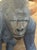 Vintage Carved Gorilla For Sale - Image 4 of 9