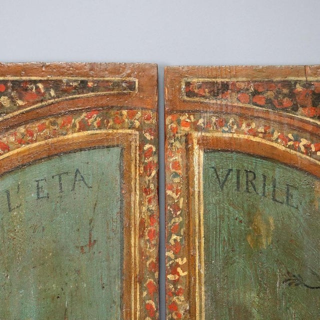 Painted Fir Panels, Set of 2 For Sale - Image 6 of 12