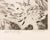 Howard Norton Cook Floral Abstraction Etching For Sale In New York - Image 6 of 8