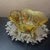 VTG Plique-a-jour Cloisonné Enamel 5” Scalopped Bowl