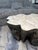 Contemporary Fossilized Coffee Table For Sale - Image 3 of 6