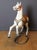 German Artist, Carving Carousel Horse, 1900, Wood For Sale - Image 6 of 17