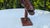 Carved Wooden Pitcairn Island Fish, 1960s For Sale - Image 6 of 8